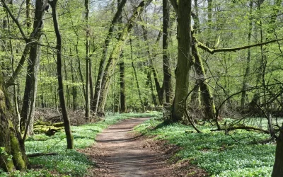 Brambuk Wetland Loop